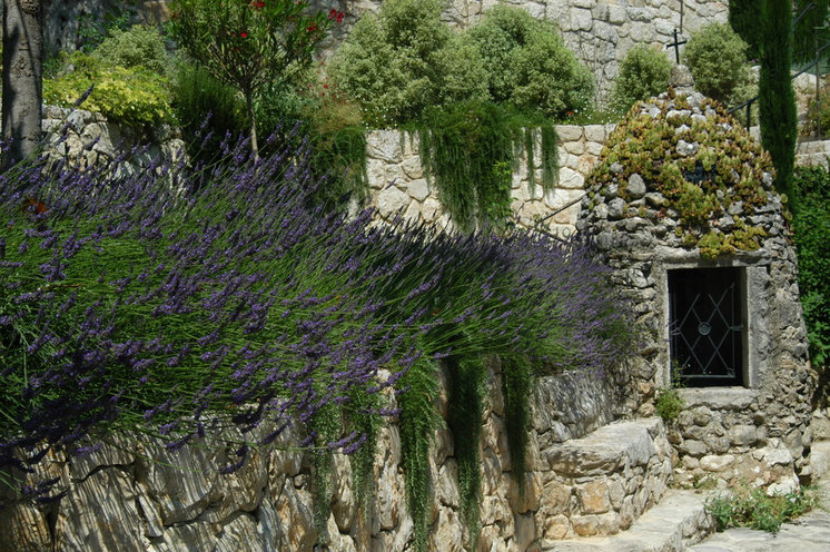 Mediterranean Landscape by Atelier Nelumbo Garden Design
