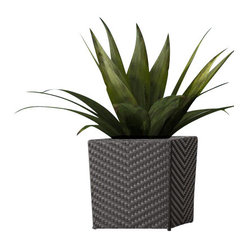 ZUO - Zuo Cancun Short Planter - Present your plants in a tidy, stylish ...