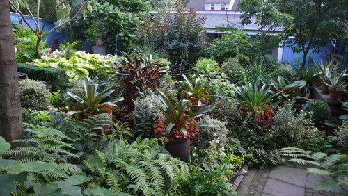 Tropical plantings tropical landscape
