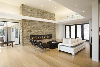 great room contemporary living room
