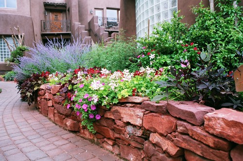 Natural dry-stack wall with bedded Perennials contemporary landscape