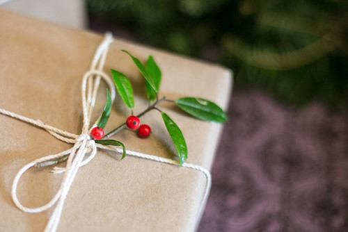 Small berries on a branch added to gift wrapper