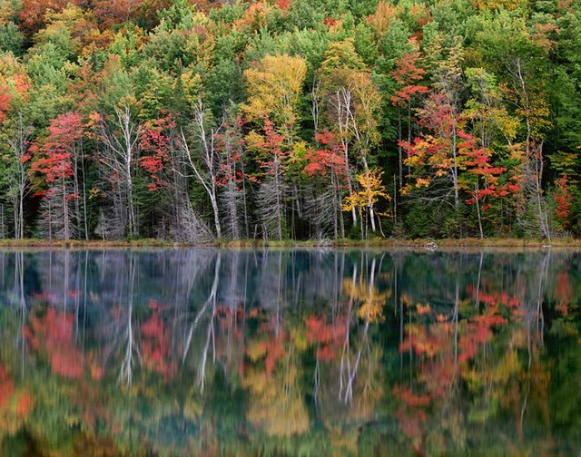 Red Jack Lake, Upper Peninsula, Michigan Wall Art - Contemporary ...