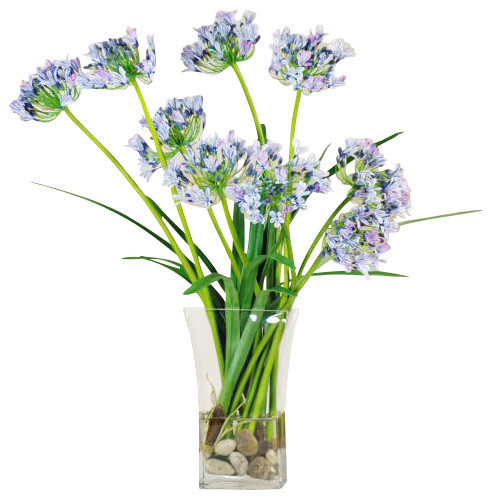 Agapanthus In Flair Glass Flower Arrangement - Traditional - Artificial ...