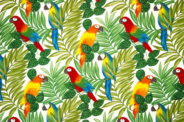 Parrot fabric tropical jungle bright, Sample - Tropical - Fabric - by ...