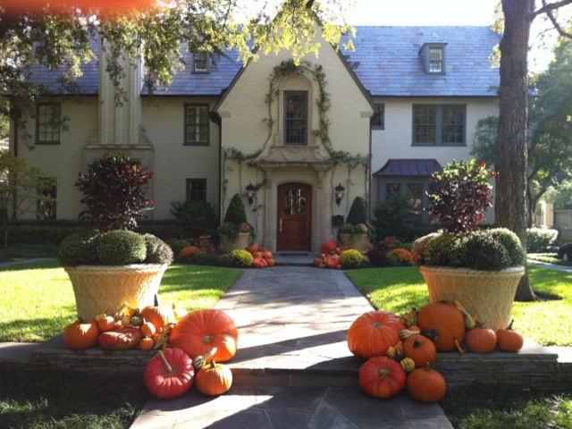 Fall Seasonal Pumpkin Display - Traditional - Landscape - dallas - by ...