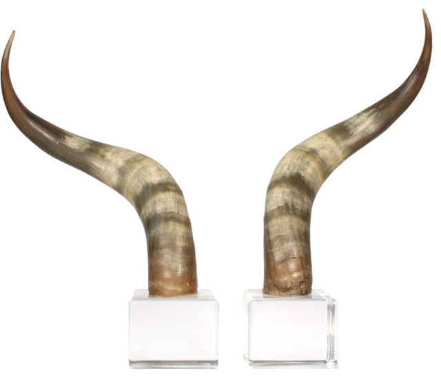 Steer Horn Bookends - Eclectic - Bookends - by 1stdibs