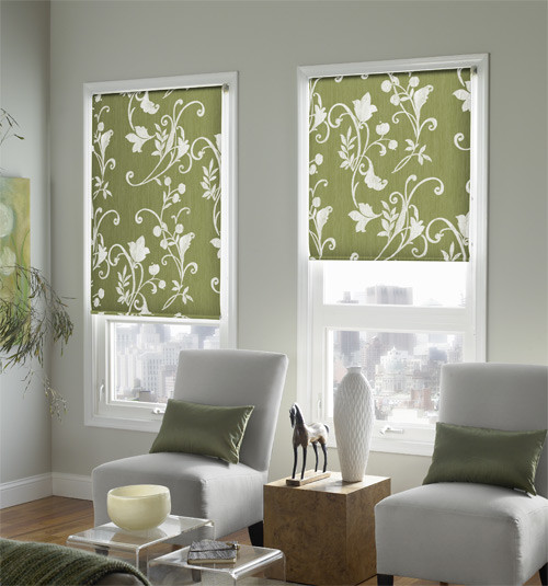 Blindsgalore Expressions Roller Shades: Botanical Patterns ...