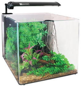 Aqua One Aqua Nano 55 Litre Tank - Contemporary - Aquariums & Fish ...