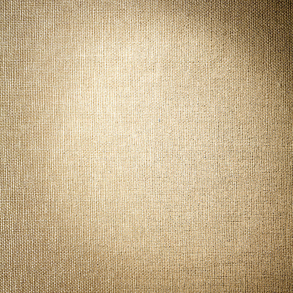 Metallic Silver Coated Beige Linen Fabric - Contemporary - Upholstery ...