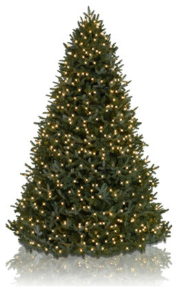 Balsam Hill's full and lush Fraser Fir Christmas tree