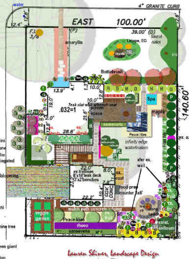 Landscape plans - Contemporary - tampa - by Tampa Landscape Design