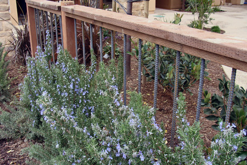 iron balustrades in a garden