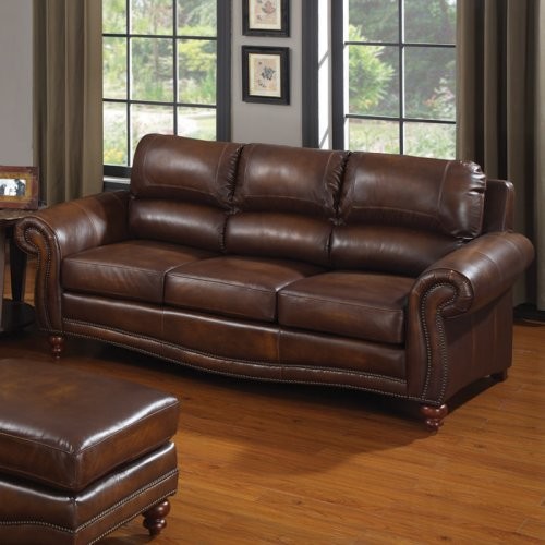 Charles Schneider Mojave Leather Sofa - Traditional - Sofas - by Hayneedle