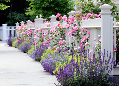 5 Inspiring Ways To Create A Cottage Style Garden Town Country Living