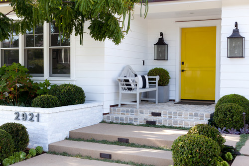 front door painted with benjamin moore yellow hibuscus