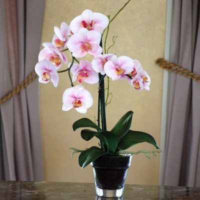 Jane Seymour Lavendar Phalaenopsis Orchid 19H in. Silk Flower ...