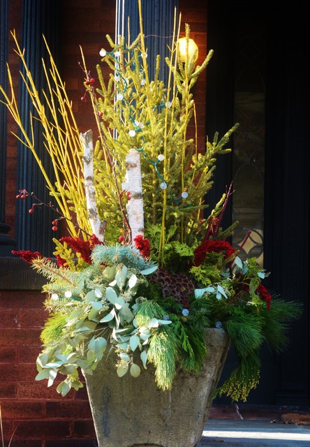 Winter Containers - Traditional - minneapolis - by Wild Ways To Garden