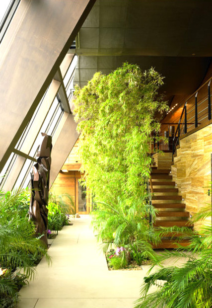 10 Indoor Gardens That Definitely Bring The Outdoors In (PHOTOS) | HuffPost
