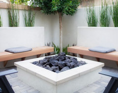 Plant Your Hardscape for Unexpected Green