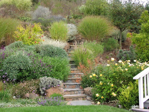 Hillside Backyard Slope Solutions, How To Landscape A Backyard Hill