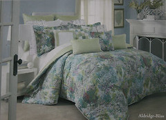 Raymond Waites~Aldridge Bliss Duvet/Comforter Cover/Shams~3 Pc Set ...