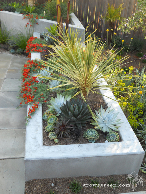 Modern Succulent Garden - san francisco - by Growsgreen Landscape Design