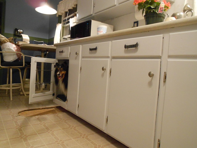 Built-in dog crate - kitchen cupboard