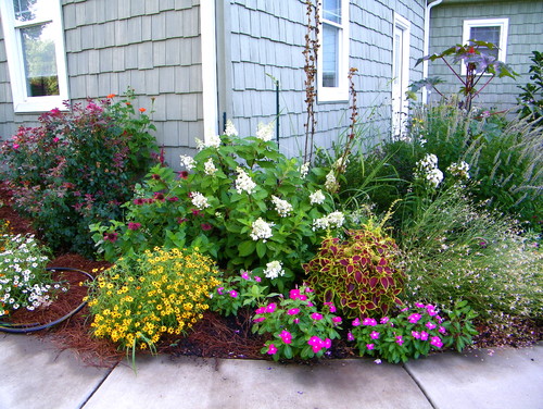 Refresh Your Front Yard Landscape, How To Landscape Front Yard For Beginners