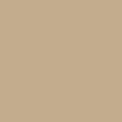 Paint Color SW 7690 Townhall Tan from Sherwin-Williams - Contemporary ...