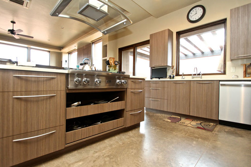 https://st.houzz.com/simgs/b8f1994d02950d70_8-0018/modern-kitchen-cabinets.jpg