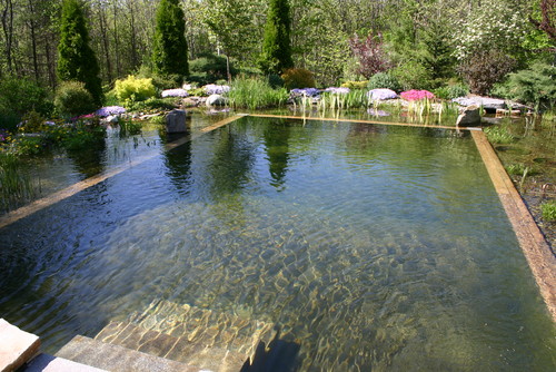 all natural pool design