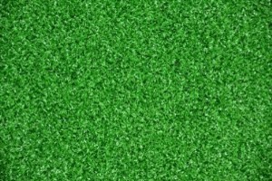 Dean Premium Heavy Duty Indoor/Outdoor Green Artificial Grass Carpet 6 ...