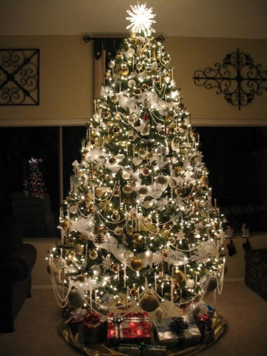 Smile Magcon Preference 20 Christmas Trees Image