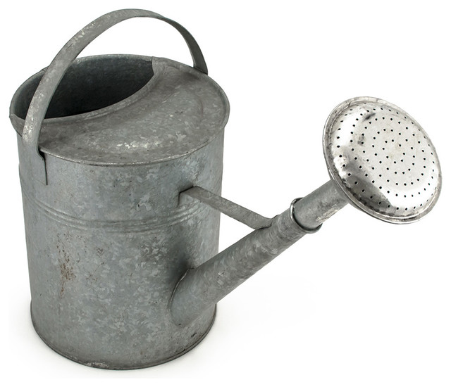 Rustic Watering Cans 1