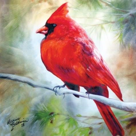 Male Red Cardinal Sitting on a Tree Branch in Woods Canvas Wall Art ...