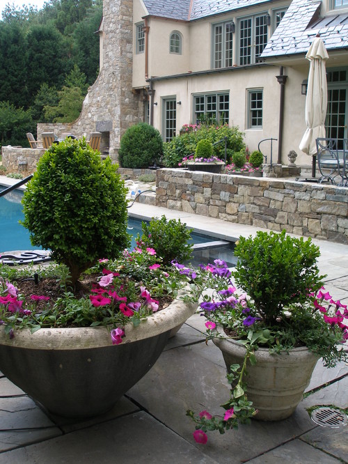 french country patio and pool design 