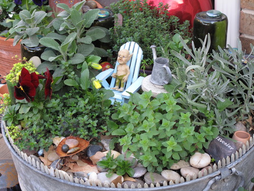 How To Create A Fairy Garden Your Step, What Plants Are Good For A Fairy Garden