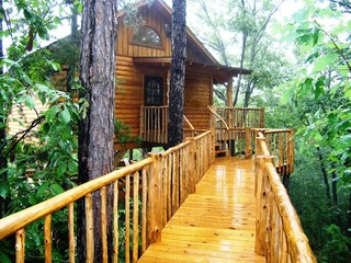 Tree Houses for the Grown-ups