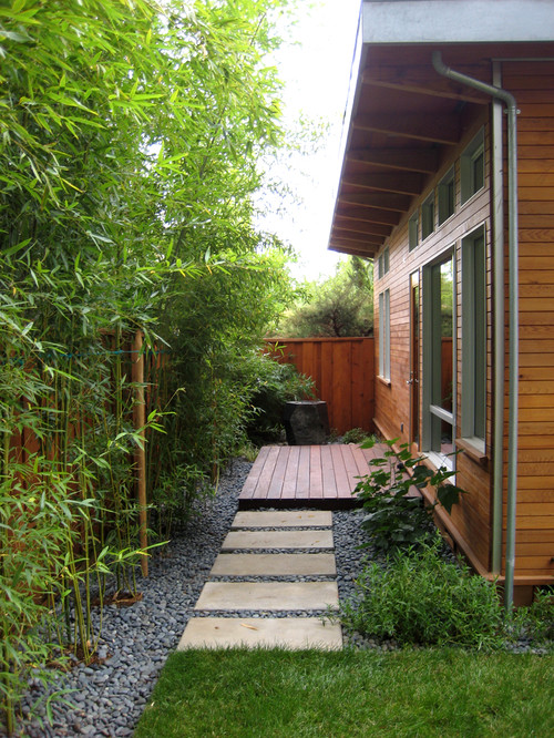 Bamboo Landscaping Guide: Design + Ideas 